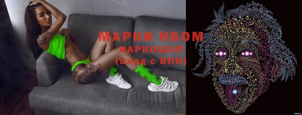 прущие грибы Алексеевка