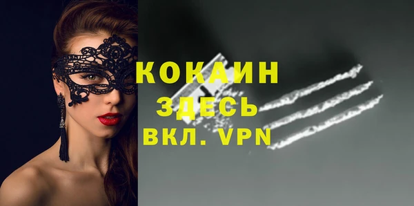 прущие грибы Алексеевка