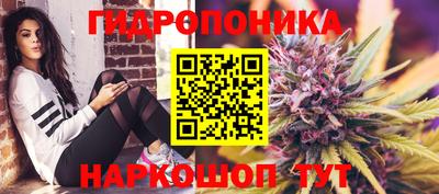 spice Беслан