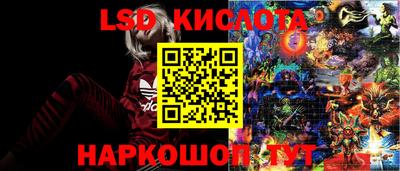 spice Беслан